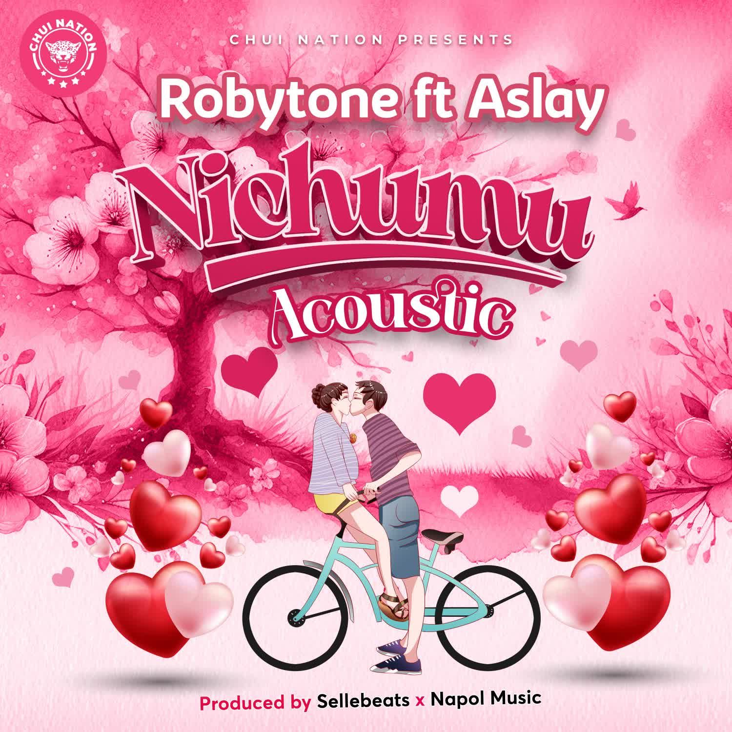 Download Audio | Roby Tone Ft. Aslay – Nichum Acoustic