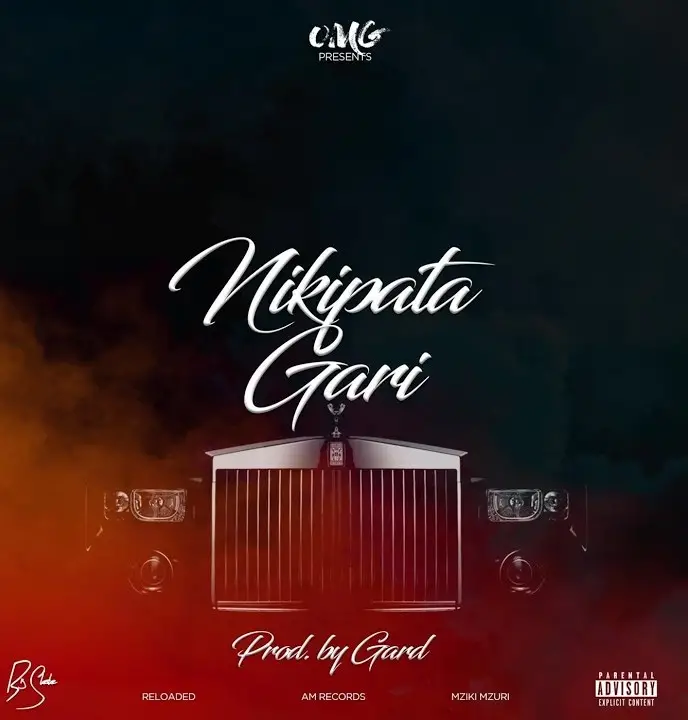 Download Audio | OMG – Nikipata Gari